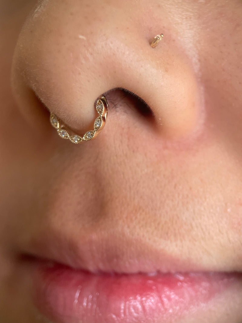 Ear Piercing Bvla Online Retailer Bvla Ear Piercing Jewelry Canada