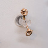 Pupil Hall Rookie Curve - Packed