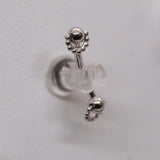 Pupil Hall Rookie Curve - Packed