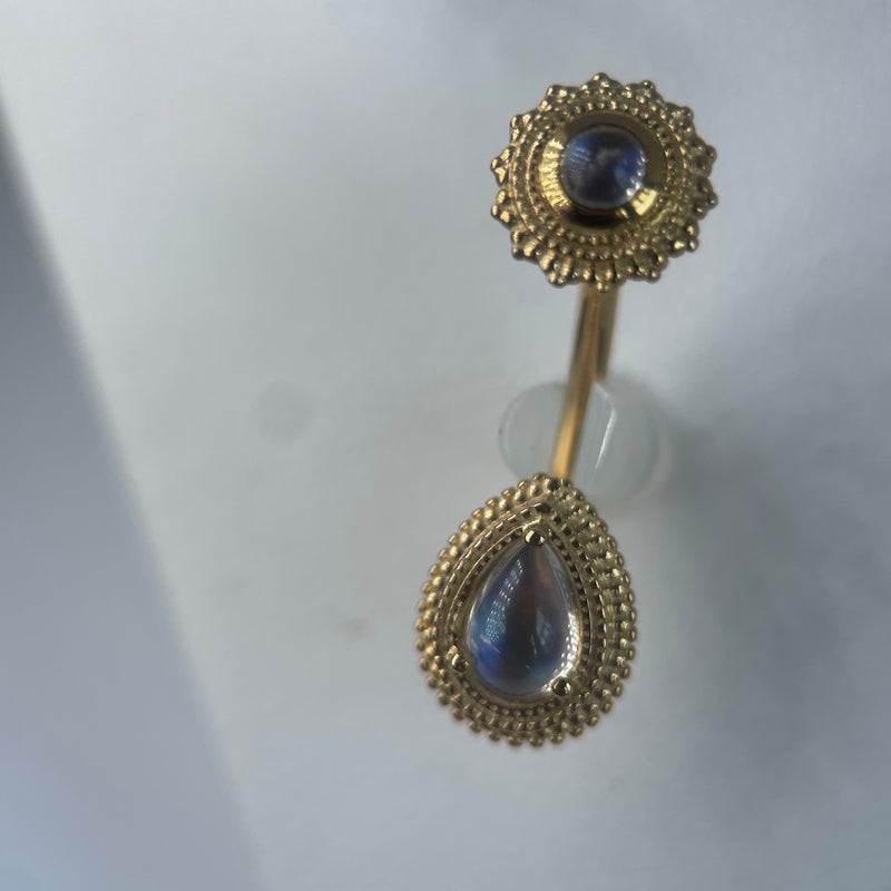 Bvla 2025 curved barbell