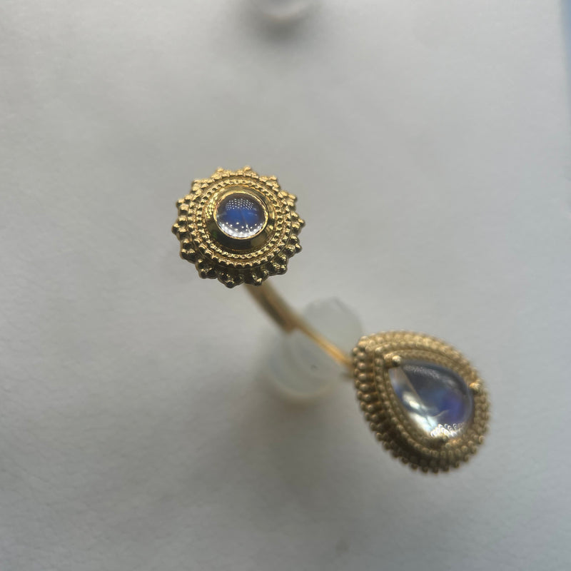 Bvla sales curved barbell