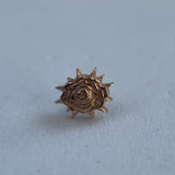 Anatometal Eye Of Divinity Could Ends
