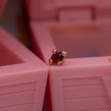 Pupil Hall GIVE100 Formidable