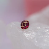 Pupil Hall Get Money 2025 End