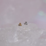 Pupil Hall Little Secret Tri Me