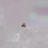 Pupil Hall Little Secret Tri Me REMIX