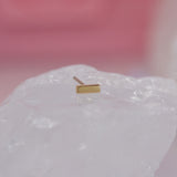 Pupil Hall Barred End