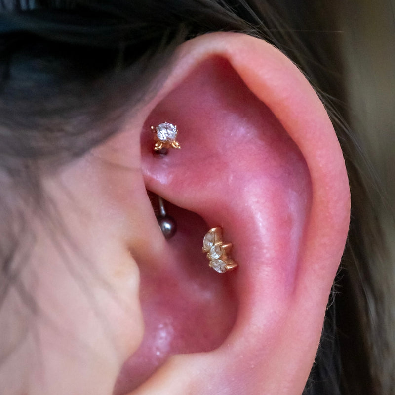 Rook Piercing – - Main Image