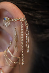 Pupil Hall Bird's Nest Lynx 2025