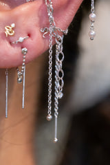 Pupil Hall Bird's Nest Lynx 2025