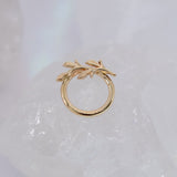 BVLA Amity Seam Ring - Daith Orientation