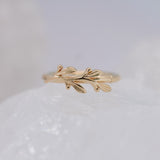 BVLA Amity Seam Ring - Conch Orientation