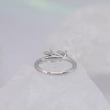 BVLA Amity Seam Ring - Conch Orientation