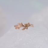 BVLA Amity Seam Ring - Conch Orientation