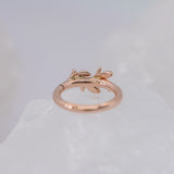 BVLA Amity Seam Ring - Conch Orientation