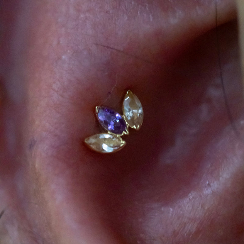Conch Piercing – - Main Image