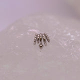 Pupil Hall Curio Slip (Jewellery Slip)