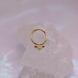 BVLA Oberon Seam Ring