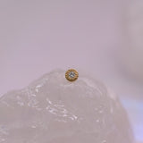 BVLA Pave Circle 2.5mm - Threadless