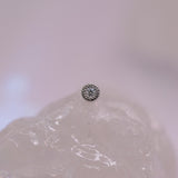 BVLA Pave Circle 2.5mm - Threadless