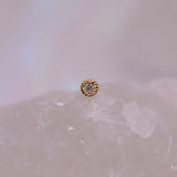 BVLA Pave Circle 2.5mm - Threadless