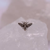 Anatometal Bee End - Threadless