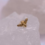 Anatometal Bee End - Threadless