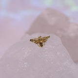 Anatometal Bee End - Threadless