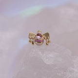 Pupil Hall Petal End