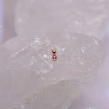 Pupil Hall Warm Slip (Jewellery Slip)