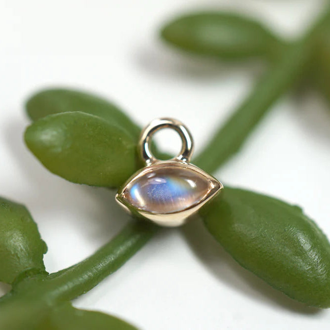 Marquise collection 2025