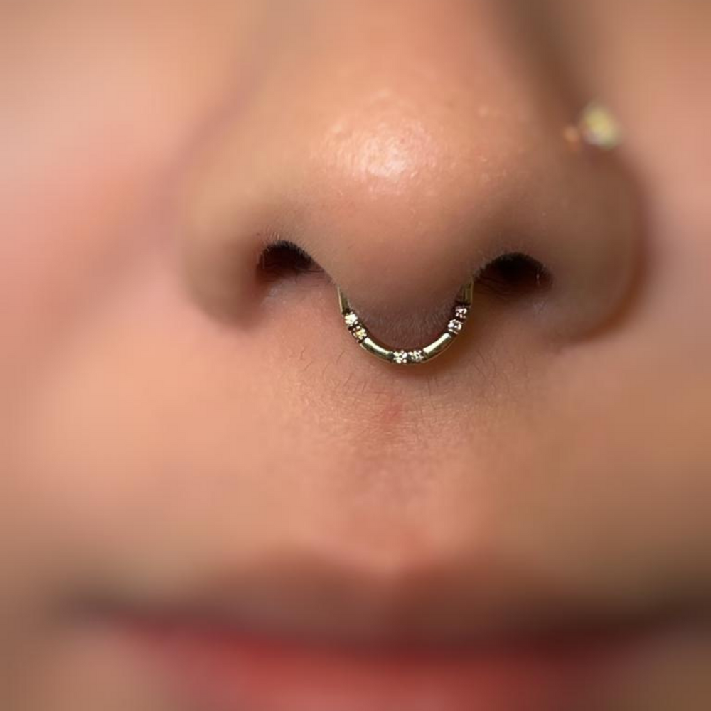 Septum Jewelry How Much Is It To Pierce Your Septum Septum Piercing –